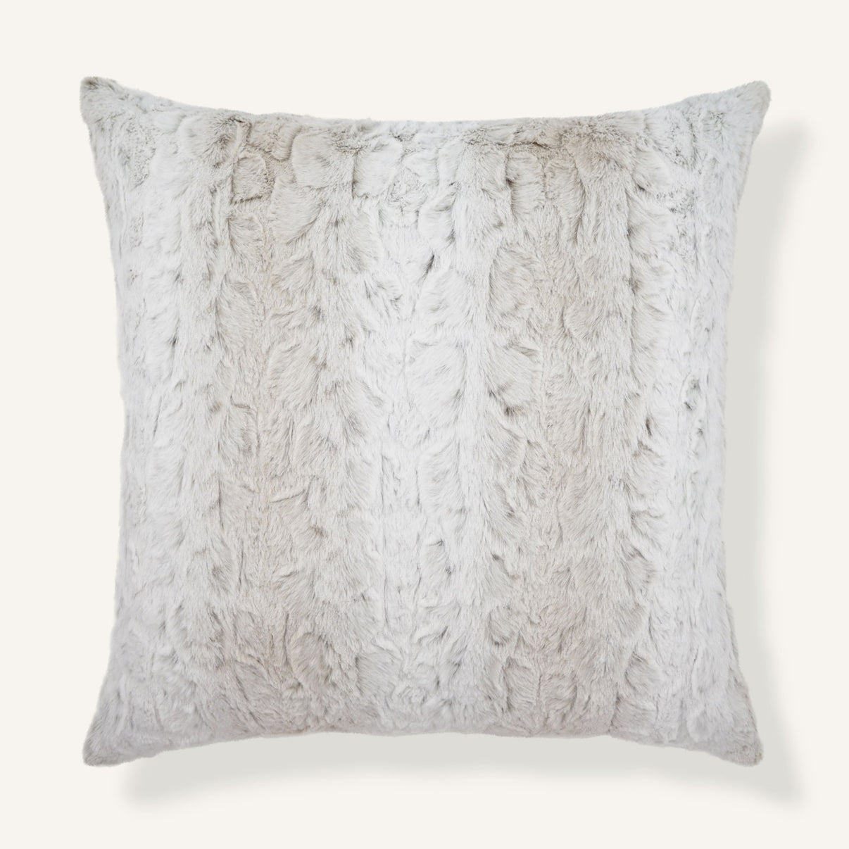 Roar 22"×22" Front View || Snow