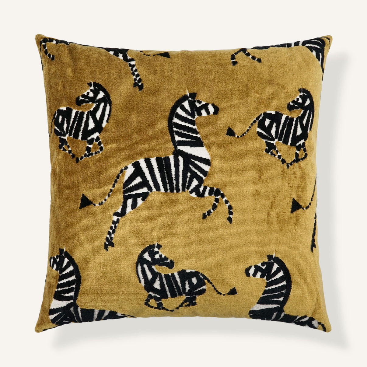 Herd 22"×22" Front View || Amber