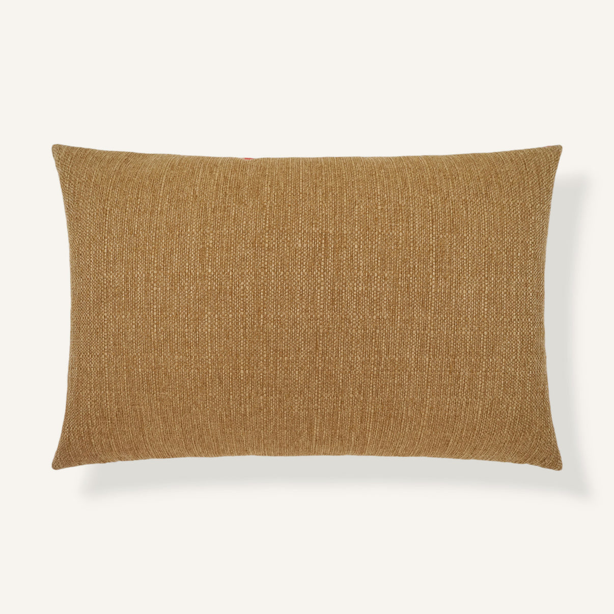 Eye of the Tiger 14"×22" Back View || Golden