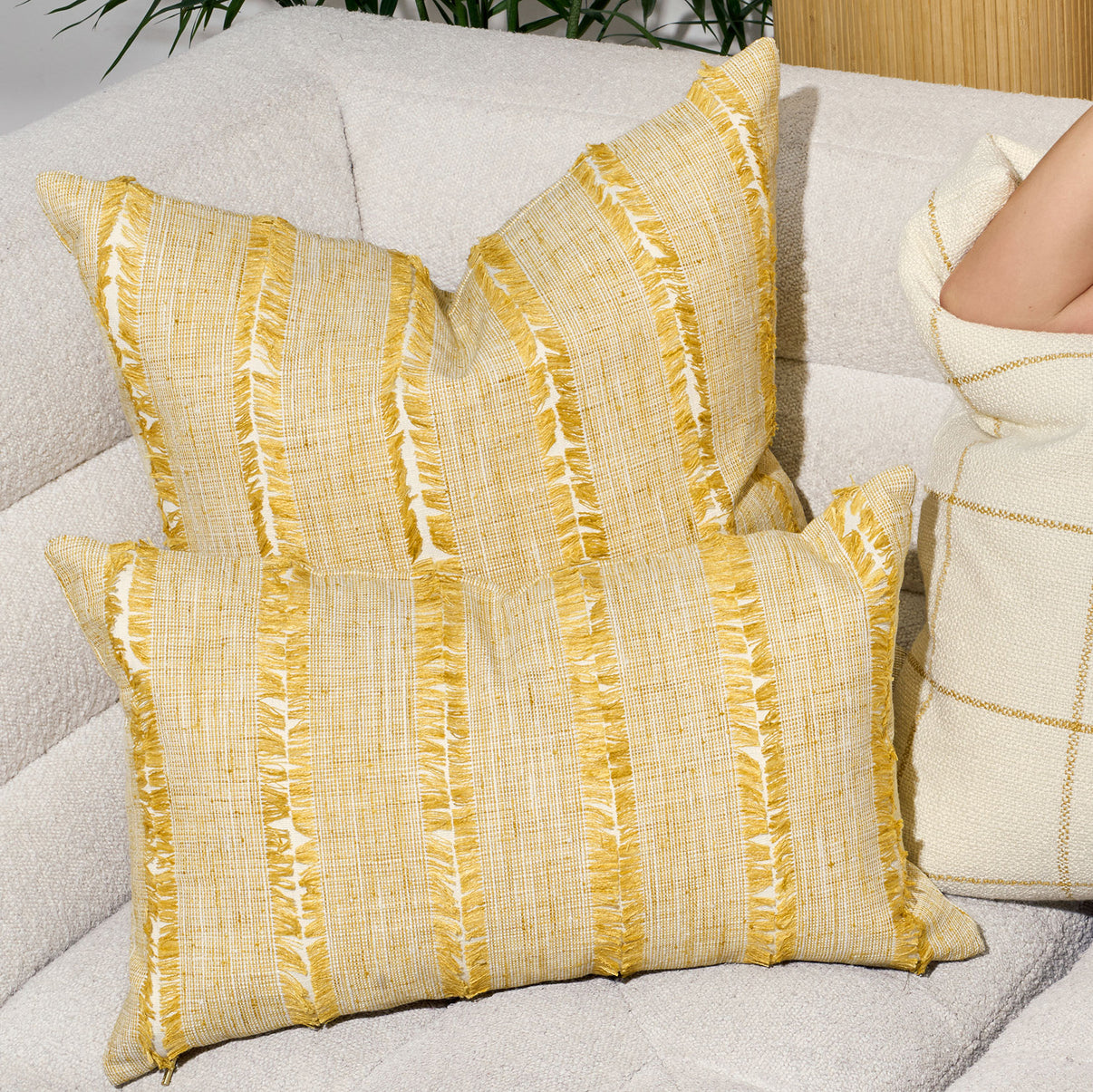 Del Mar 24"×24" UGC || Sunflower