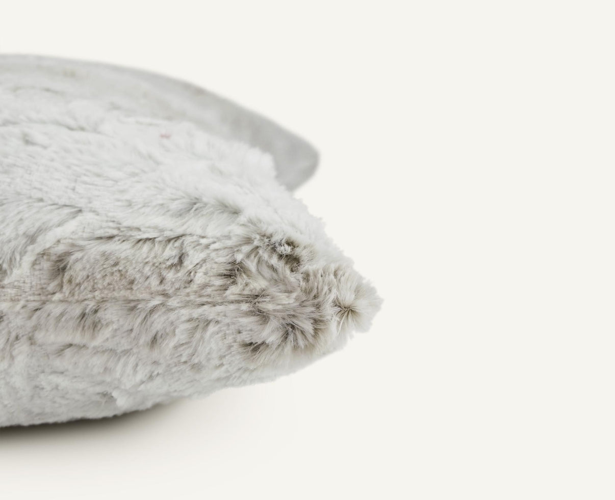 Roar 22"×22" Side View || Snow