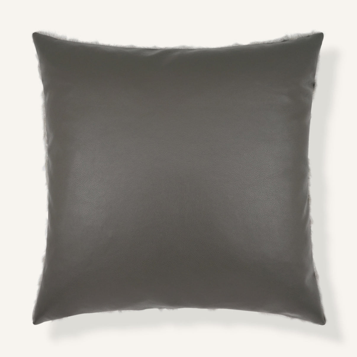 Pelliccia 22"×22" Back View || Frost