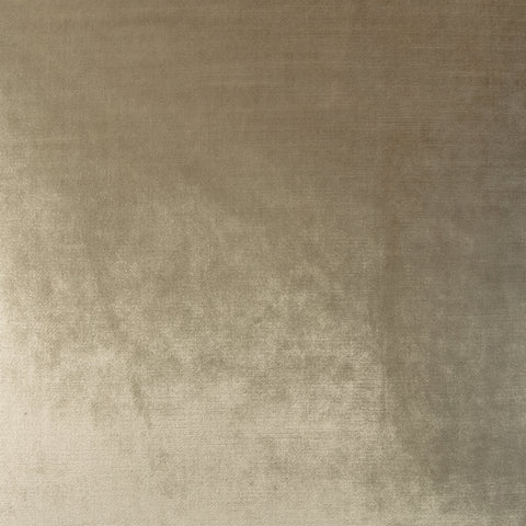 Swatch || Fancy-Pants in Champagne