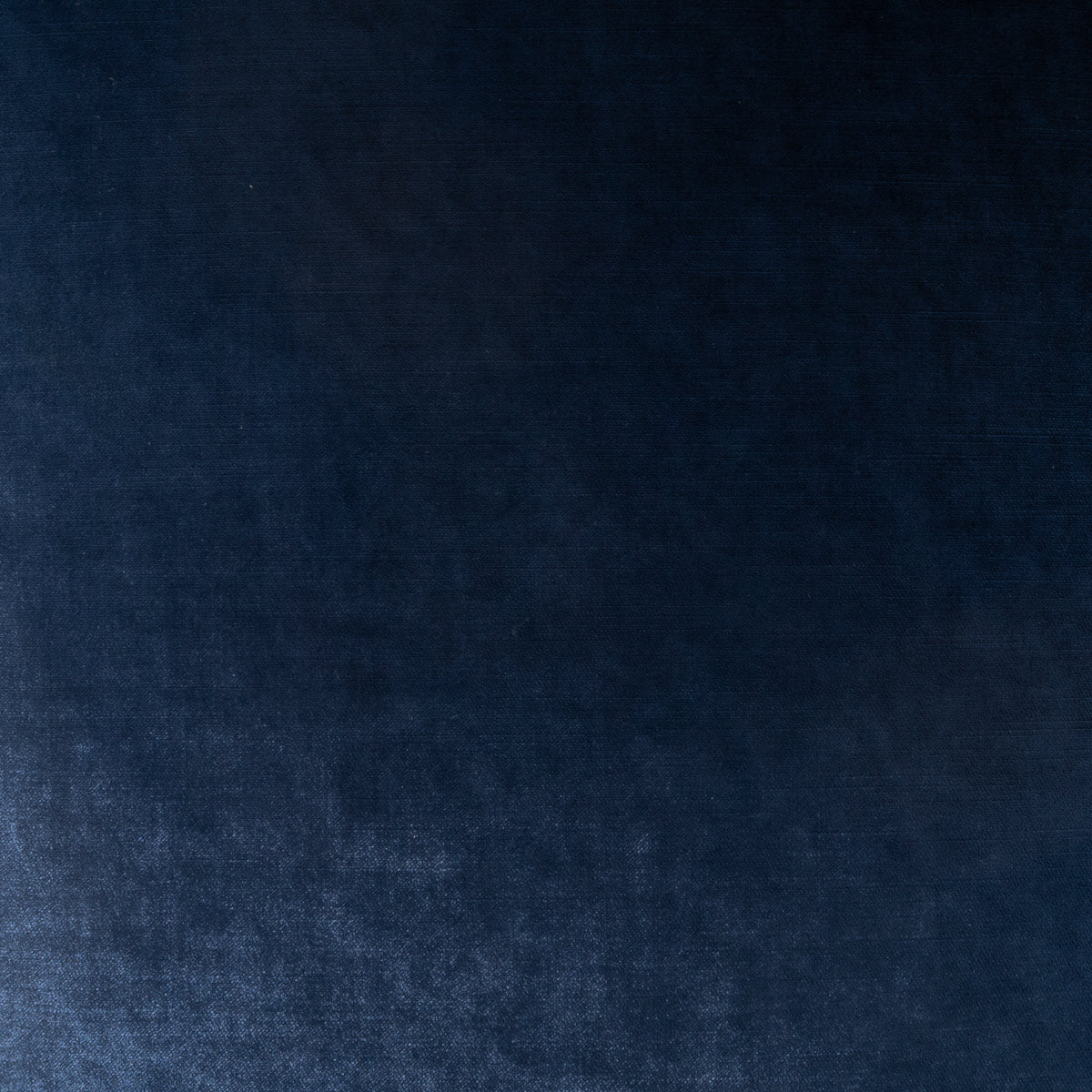 Fancy-Pants Swatch / Navy
