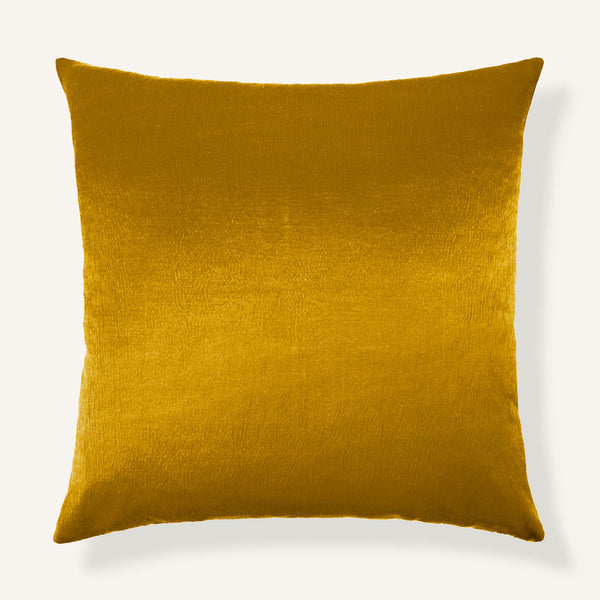 Nova / Gold