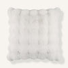 Clouded 22