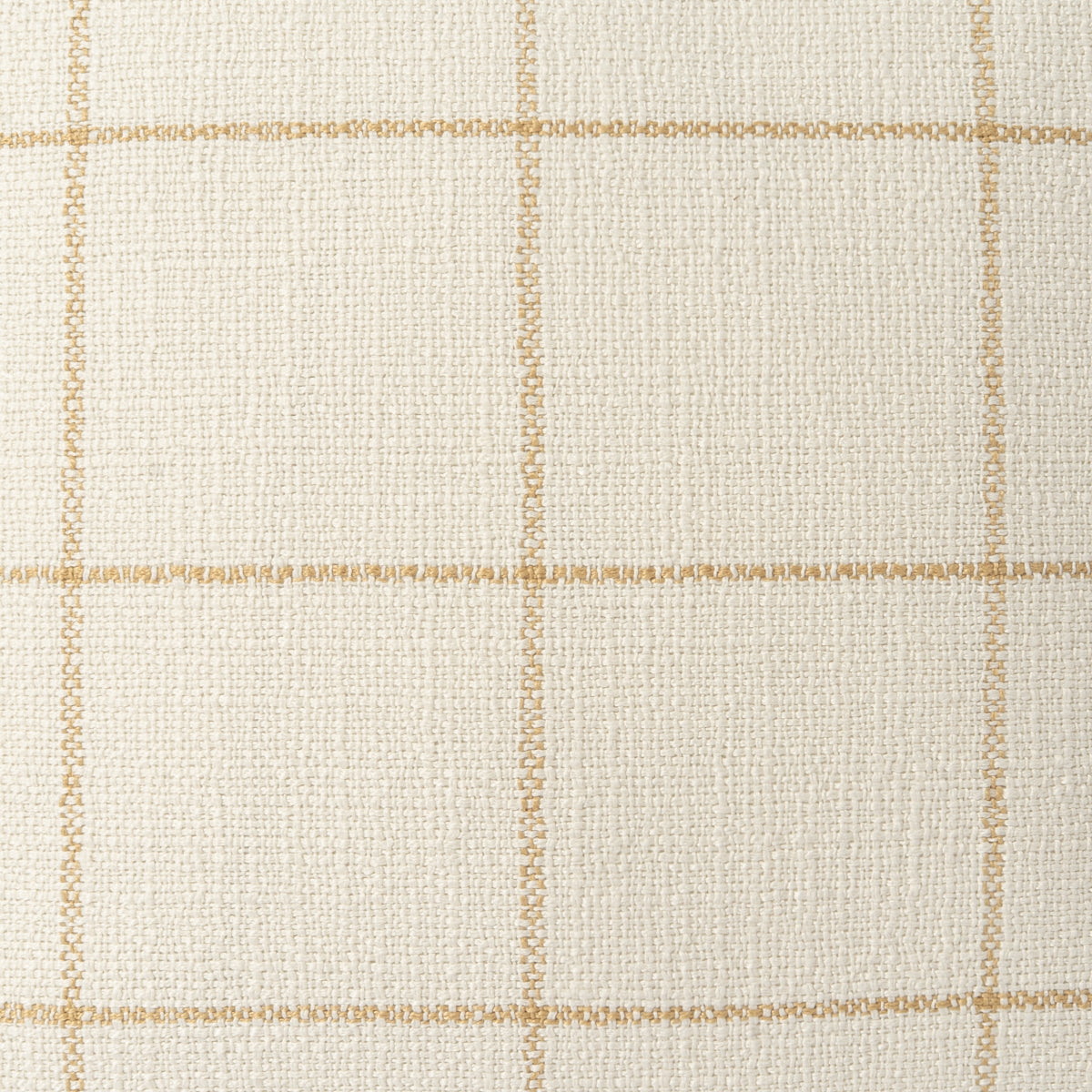Hampton Check Swatch / Sunflower