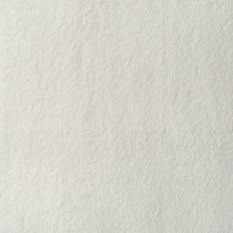 Swatch || Shasta Fur in Cream