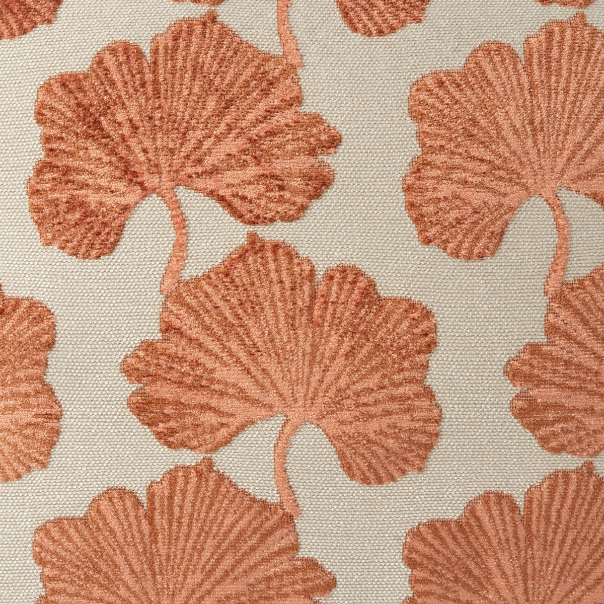 Lilt Swatch / Coral