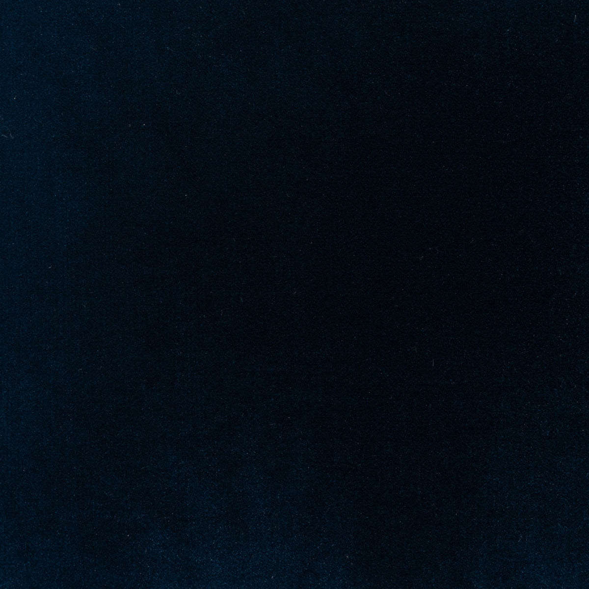 Soft Spoken Swatch / Navy