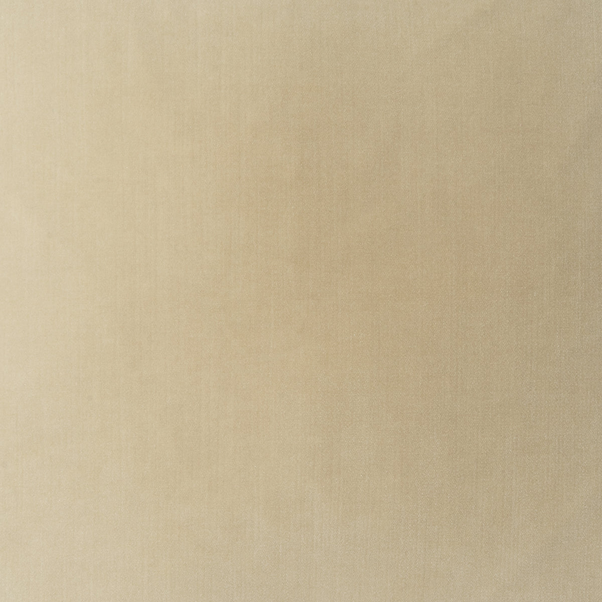 Soft Spoken Swatch / Porcelain