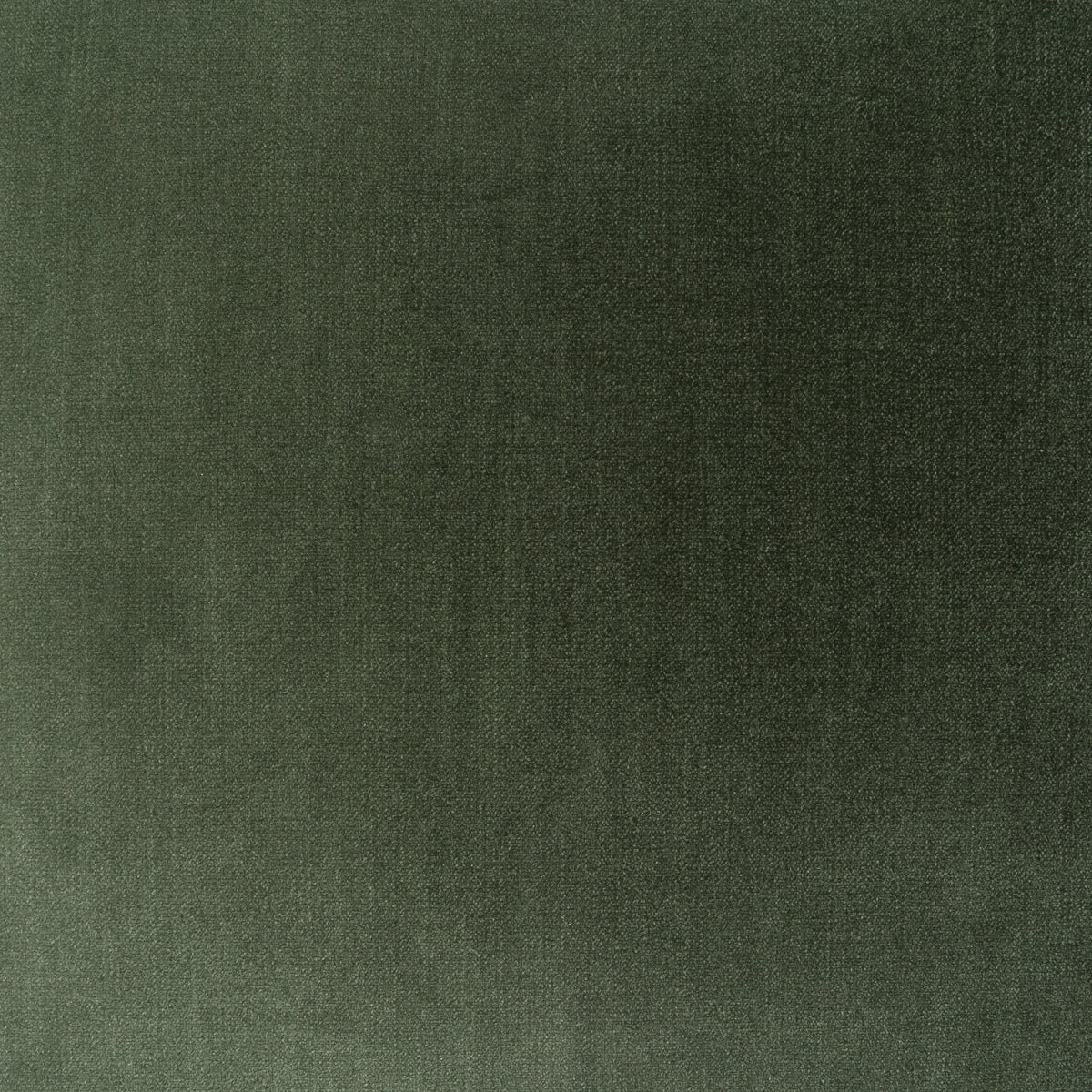 Soft Spoken Swatch / Silversage