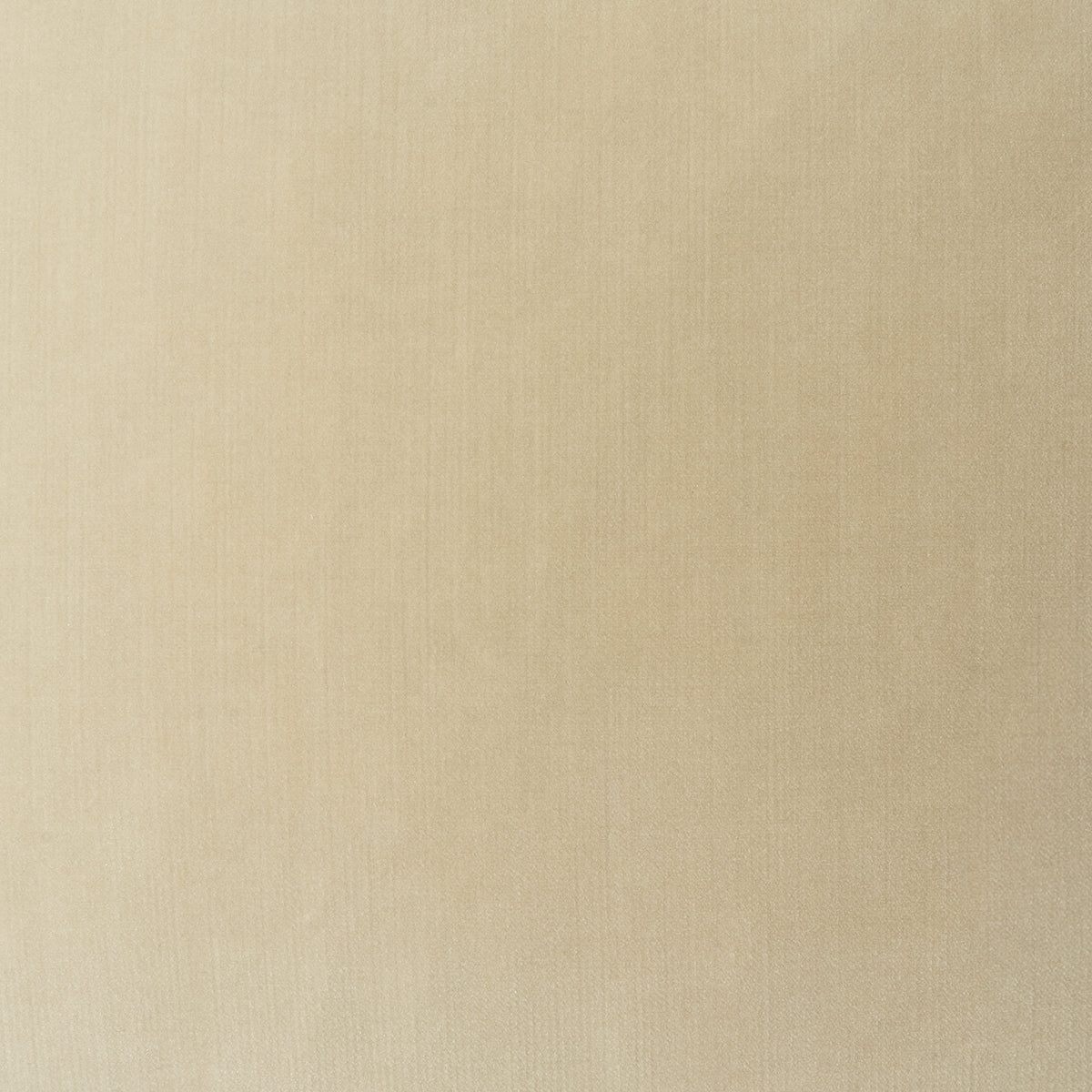 Soft Spoken Box Swatch / Porcelain