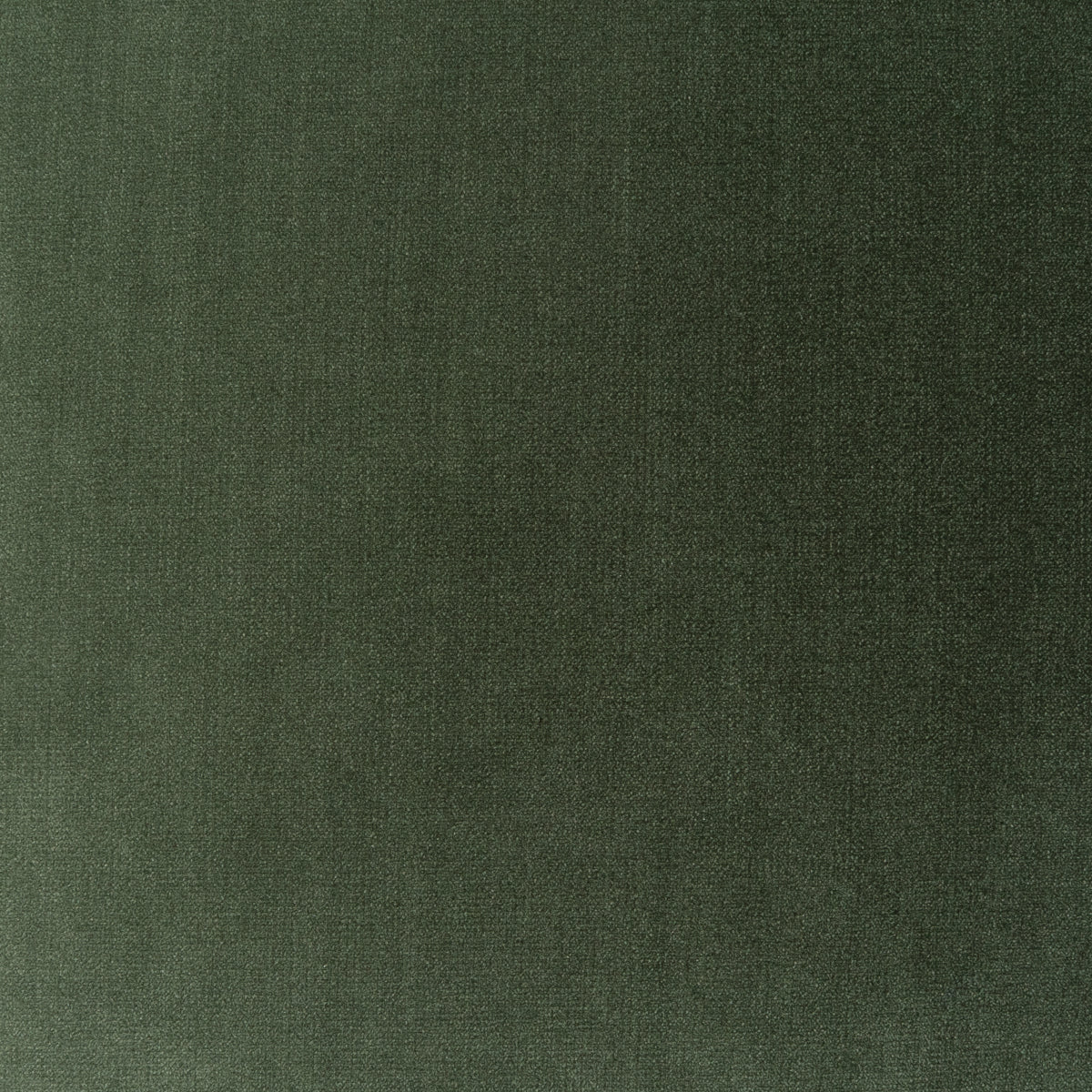 Soft Spoken Box Swatch / Silversage