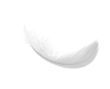 feather