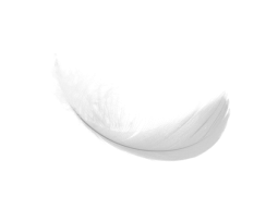 feather
