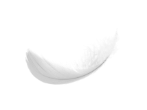 feather