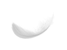 feather