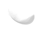 feather